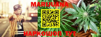 индика Ярославль