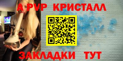 индика Ярославль