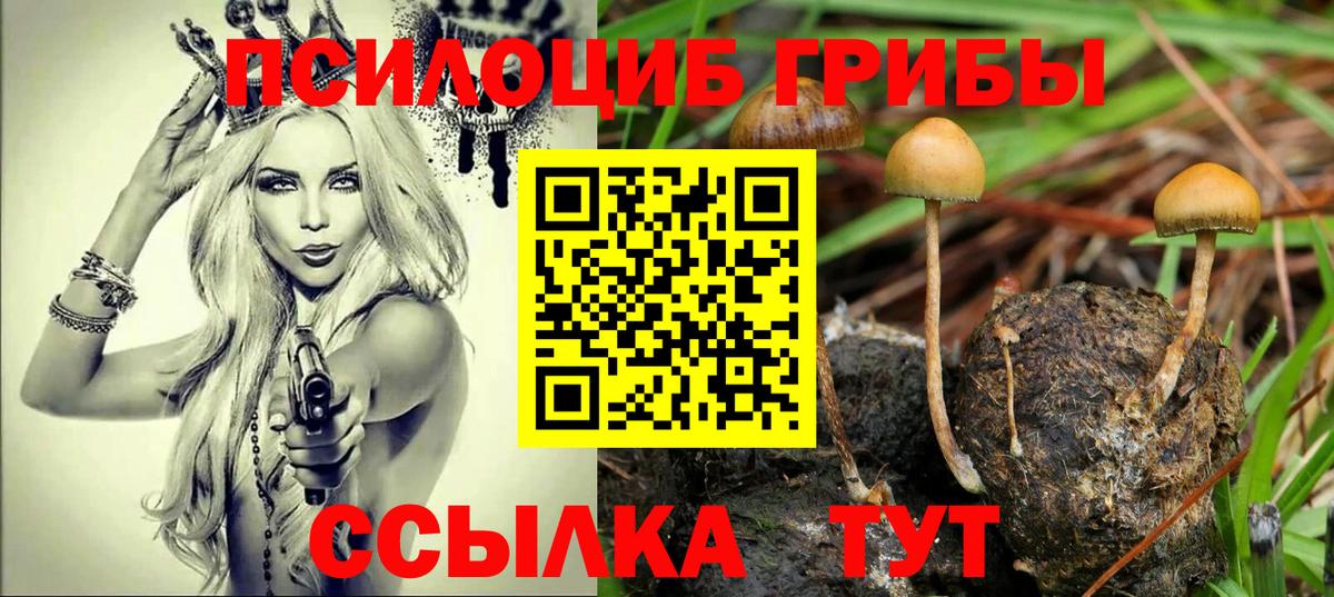 Артёмовский  Галлюциногенные грибы прущие грибы  Вход с VPN 